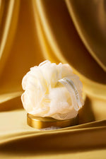 Purifying Shower Sponge
