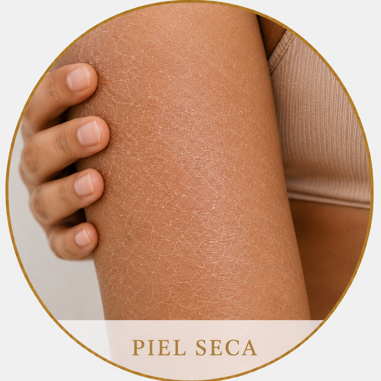 Piel seca